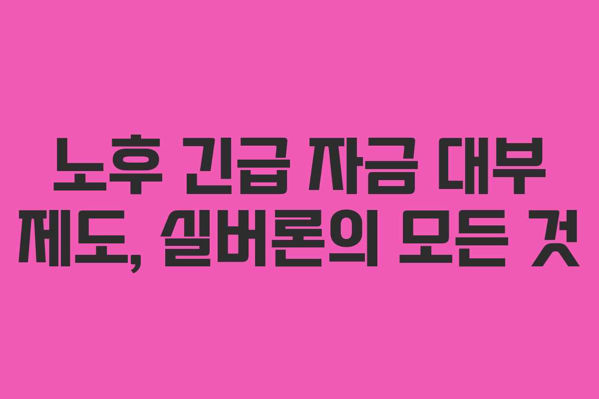 노후 긴급 자금 대부 제도, 실버론의 모든 것