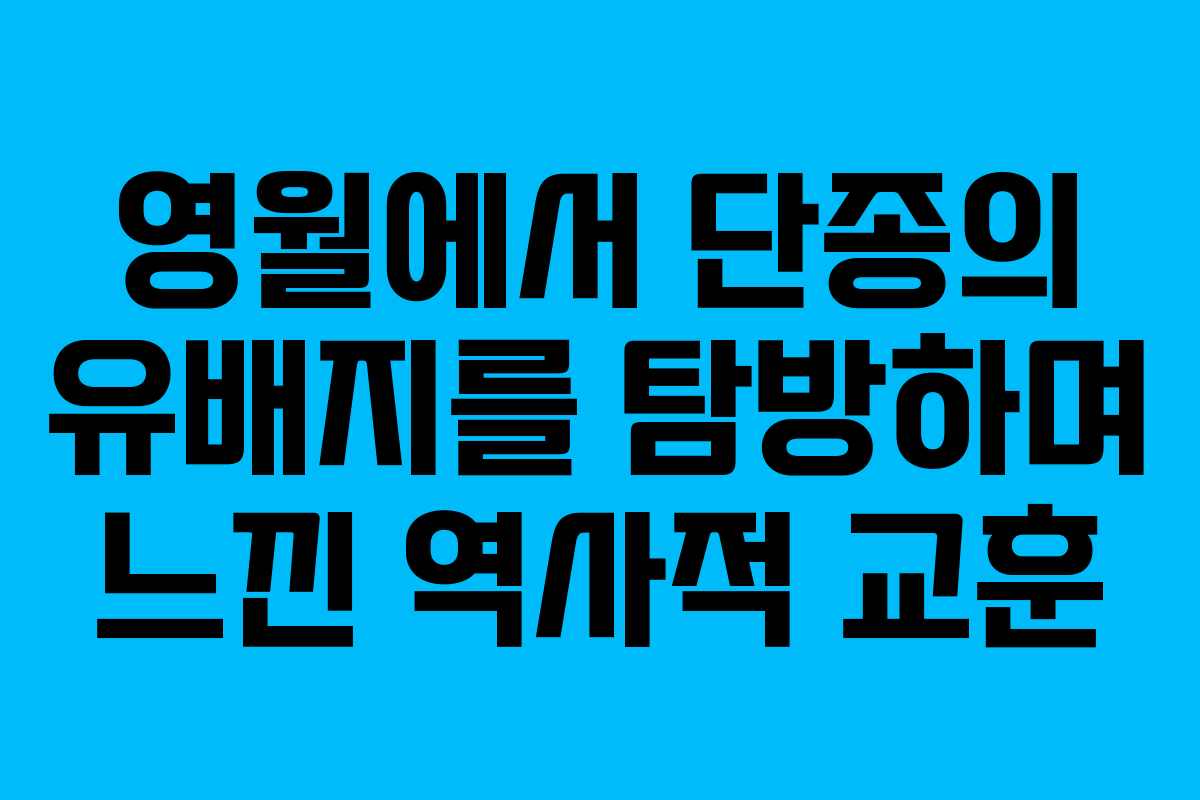 영월에서 단종의 유배지를 탐방하며 느낀 역사적 교훈