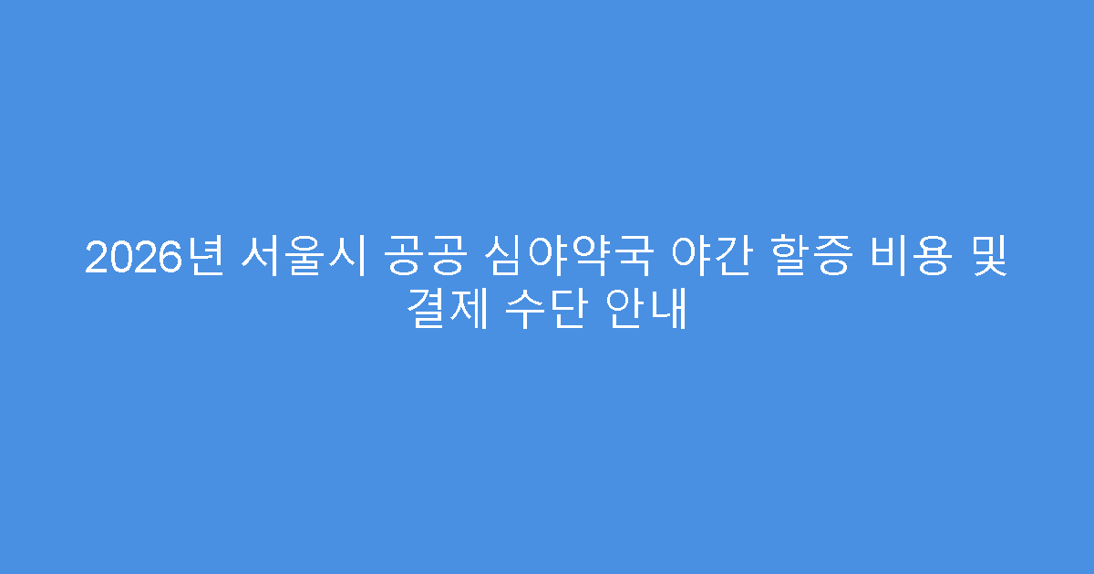 2026년 서울시 공공 심야약국 야간 할증 비용 및 결제 수단 안내