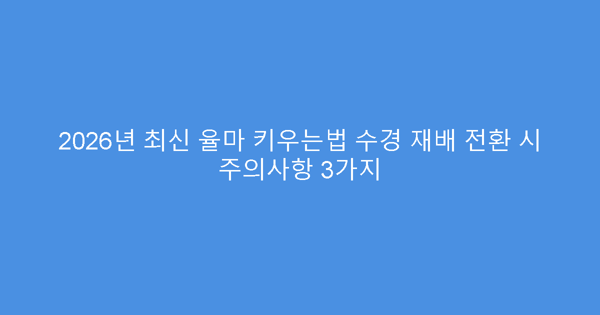 2026년 최신 율마 키우는법 수경 재배 전환 시 주의사항 3가지