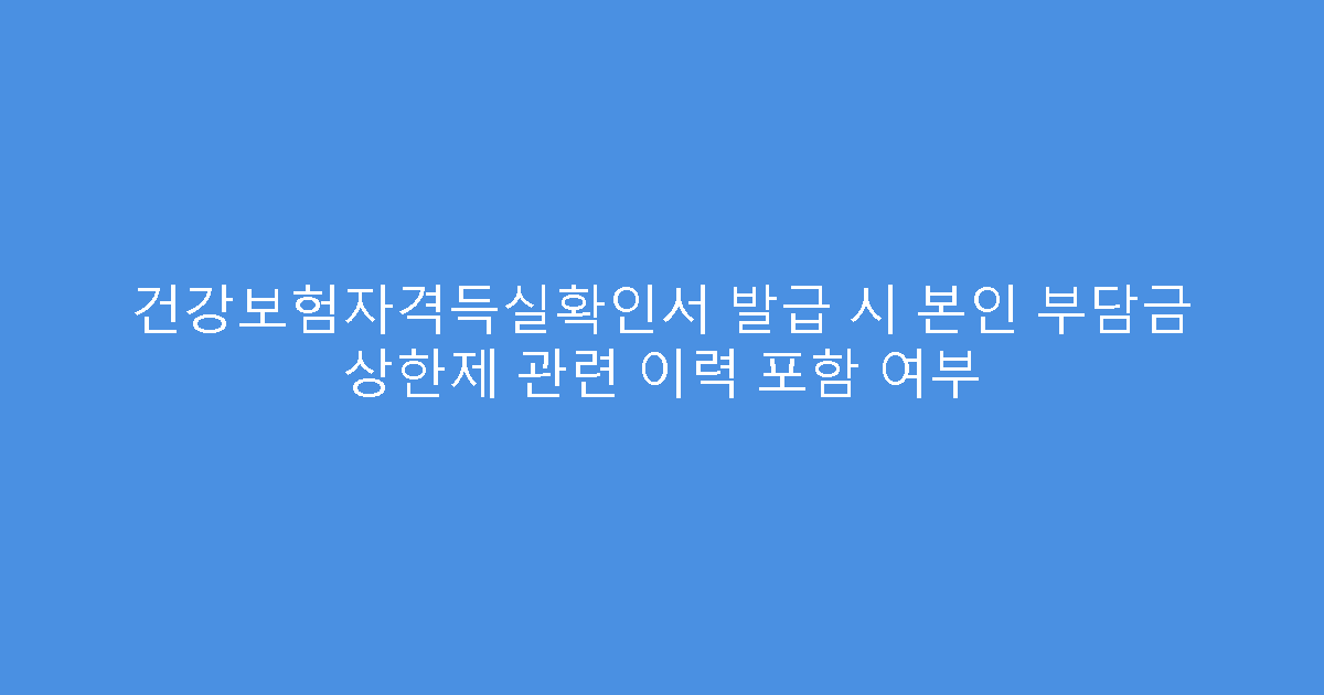 건강보험자격득실확인서 발급 시 본인 부담금 상한제 관련 이력 포함 여부