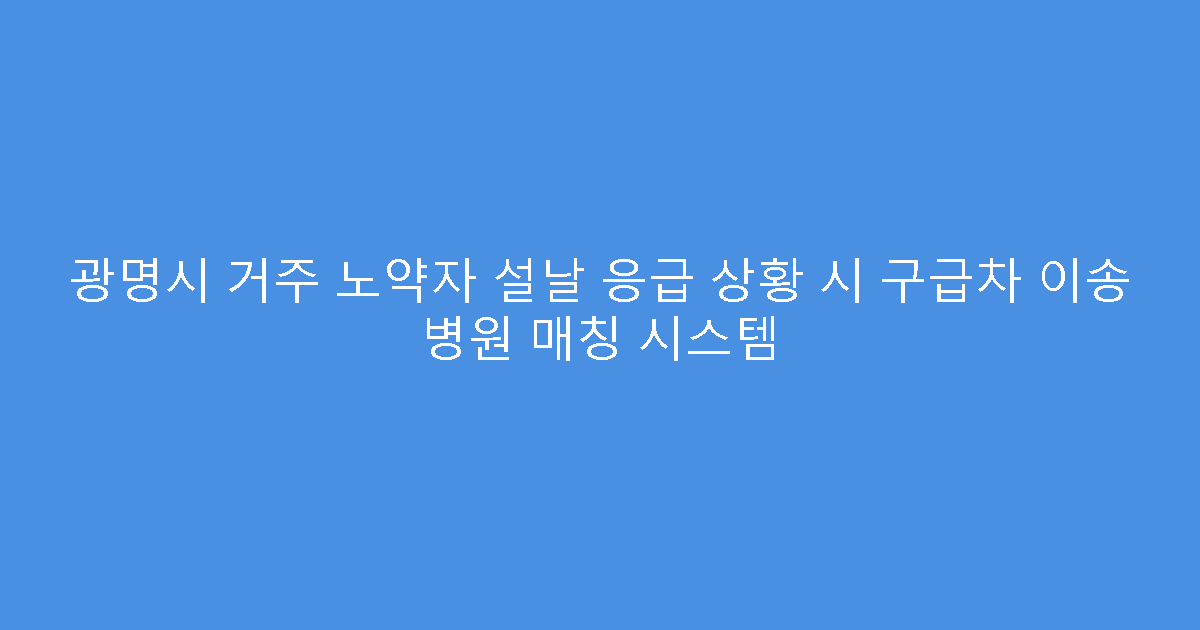 광명시 거주 노약자 설날 응급 상황 시 구급차 이송 병원 매칭 시스템