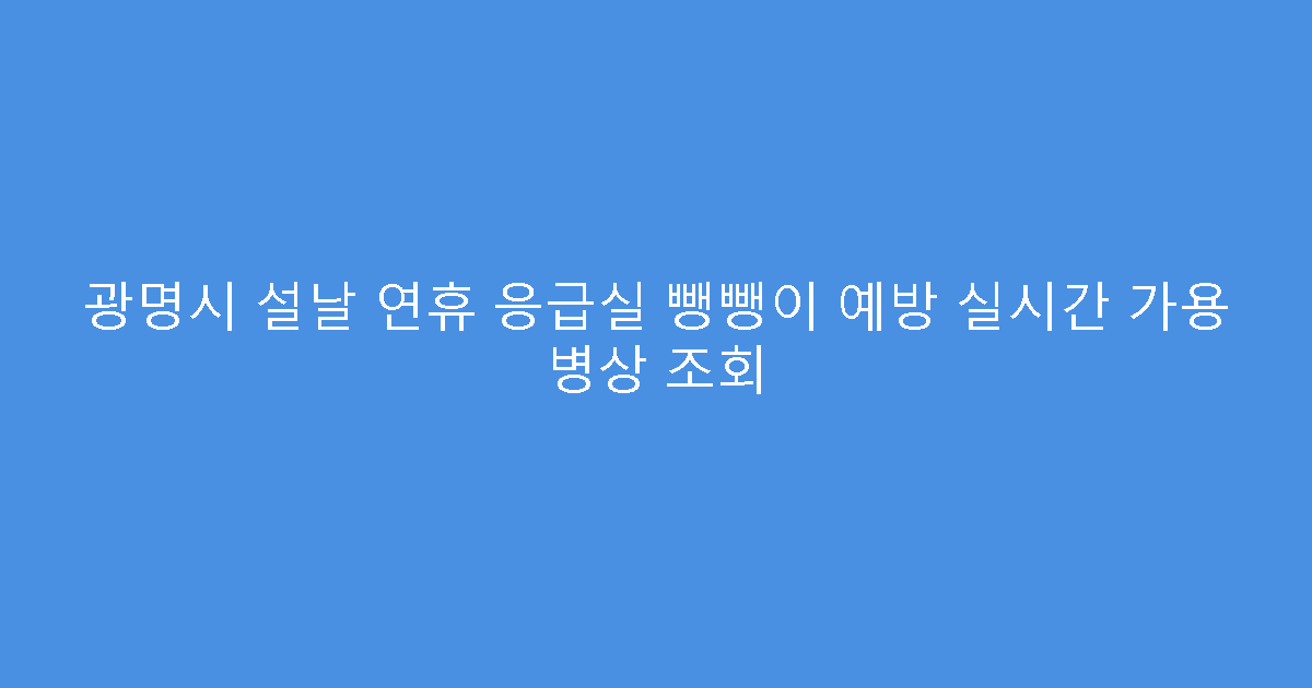 광명시 설날 연휴 응급실 뺑뺑이 예방 실시간 가용 병상 조회