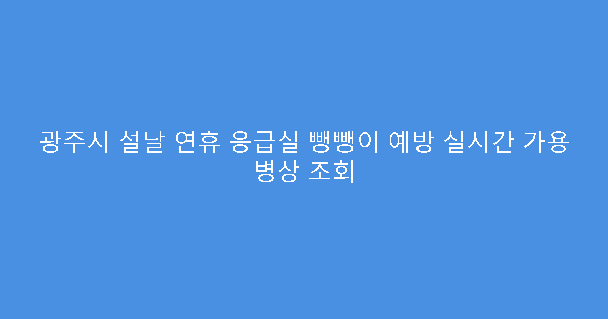 광주시 설날 연휴 응급실 뺑뺑이 예방 실시간 가용 병상 조회