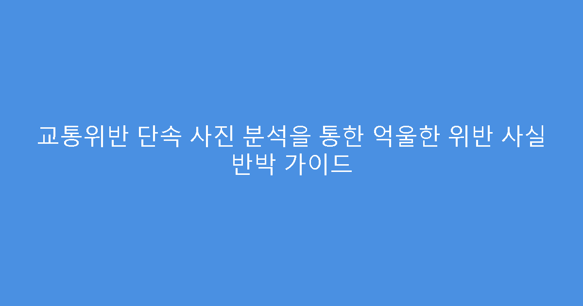 교통위반 단속 사진 분석을 통한 억울한 위반 사실 반박 가이드
