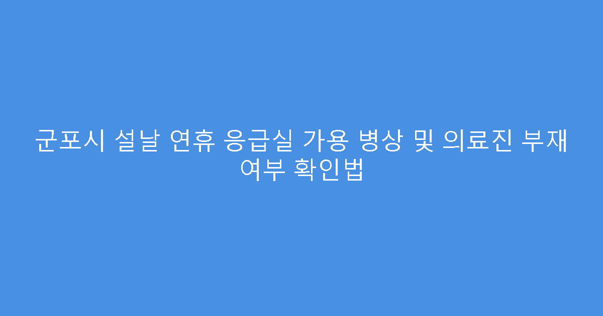군포시 설날 연휴 응급실 가용 병상 및 의료진 부재 여부 확인법