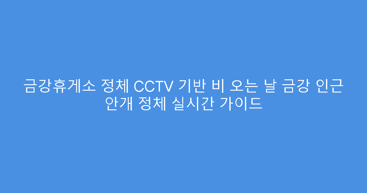 금강휴게소 정체 CCTV 기반 비 오는 날 금강 인근 안개 정체 실시간 가이드
