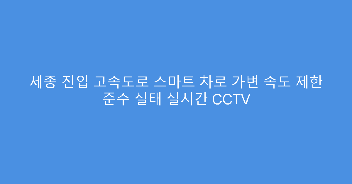 세종 진입 고속도로 스마트 차로 가변 속도 제한 준수 실태 실시간 CCTV
