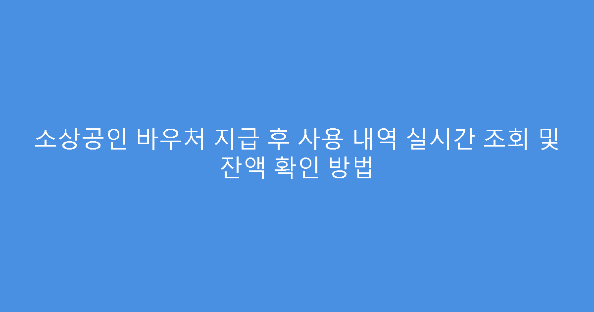 소상공인 바우처 지급 후 사용 내역 실시간 조회 및 잔액 확인 방법