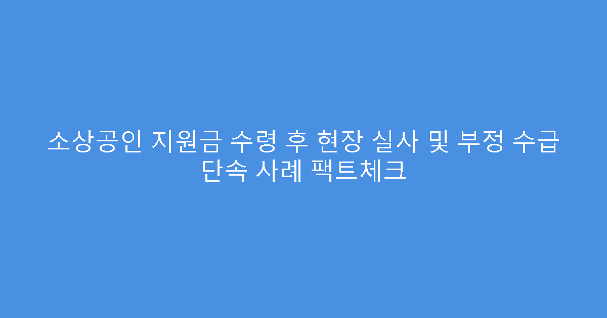 소상공인 지원금 수령 후 현장 실사 및 부정 수급 단속 사례 팩트체크