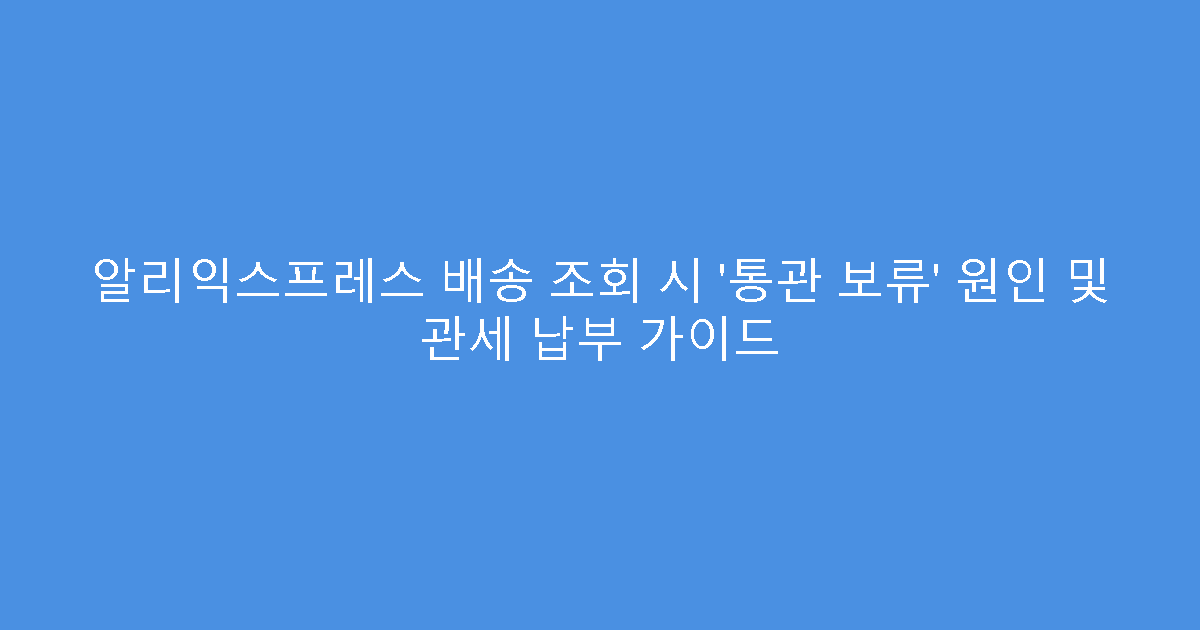 알리익스프레스 배송 조회 시 ‘통관 보류’ 원인 및 관세 납부 가이드