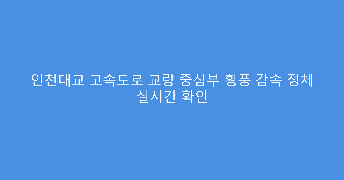 인천대교 고속도로 교량 중심부 횡풍 감속 정체 실시간 확인