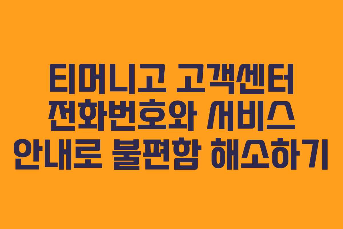 티머니고 고객센터 전화번호와 서비스 안내로 불편함 해소하기
