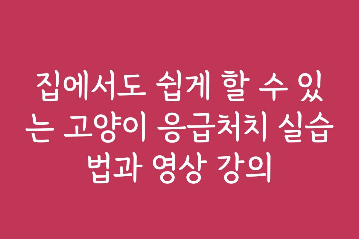 집에서도 쉽게 할 수 있는 고양이 응급처치 실습법과 영상 강의