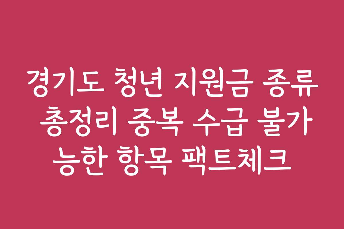 경기도 청년 지원금 종류 총정리 중복 수급 불가능한 항목 팩트체크
