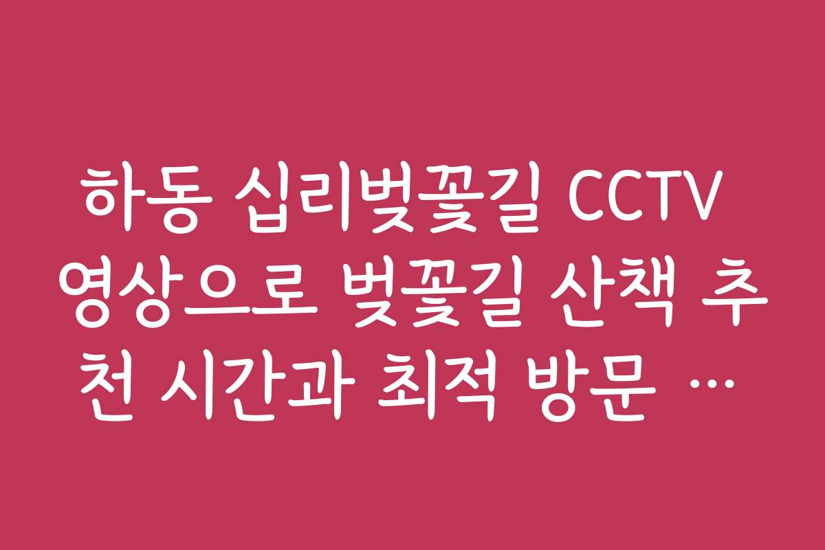 하동 십리벚꽃길 CCTV 영상으로 벚꽃길 산책 추천 시간과 최적 방문 시기