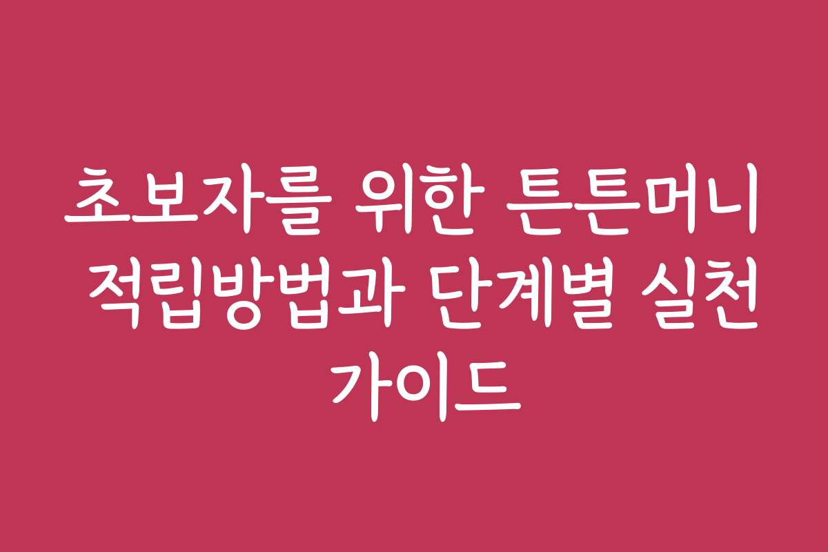 초보자를 위한 튼튼머니 적립방법과 단계별 실천 가이드
