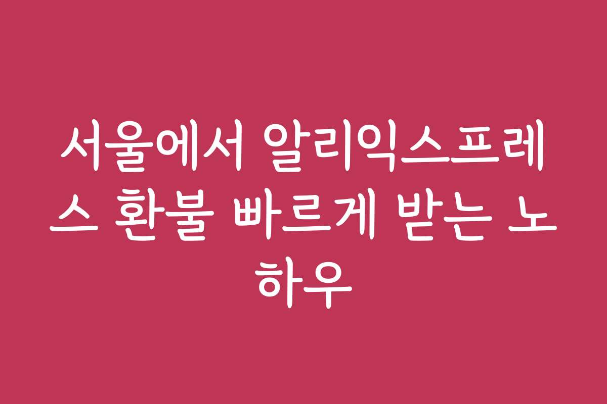 서울에서 알리익스프레스 환불 빠르게 받는 노하우