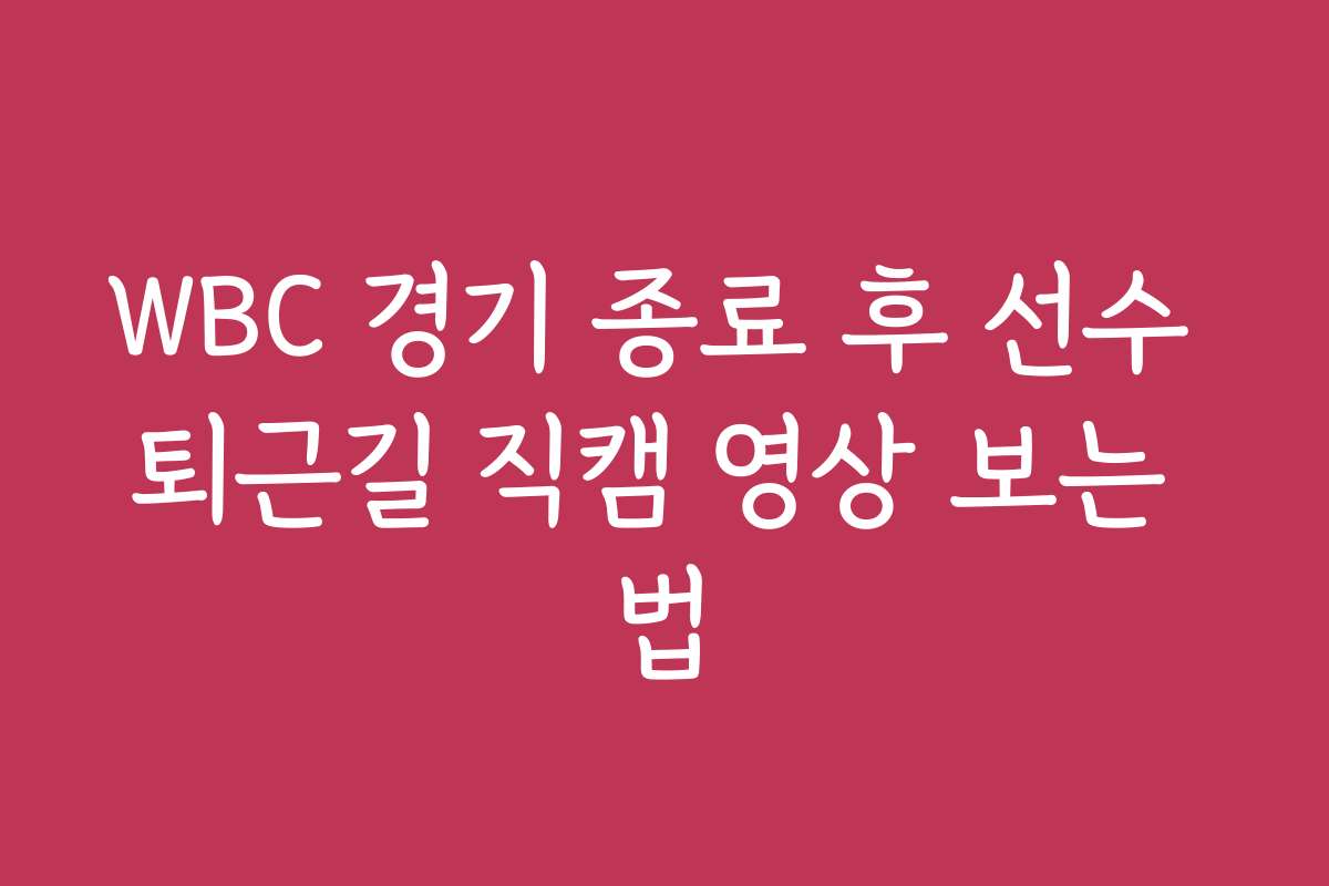 WBC 경기 종료 후 선수 퇴근길 직캠 영상 보는 법
