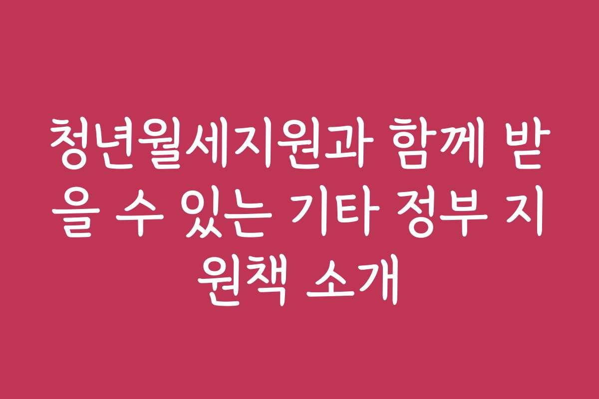 청년월세지원과 함께 받을 수 있는 기타 정부 지원책 소개