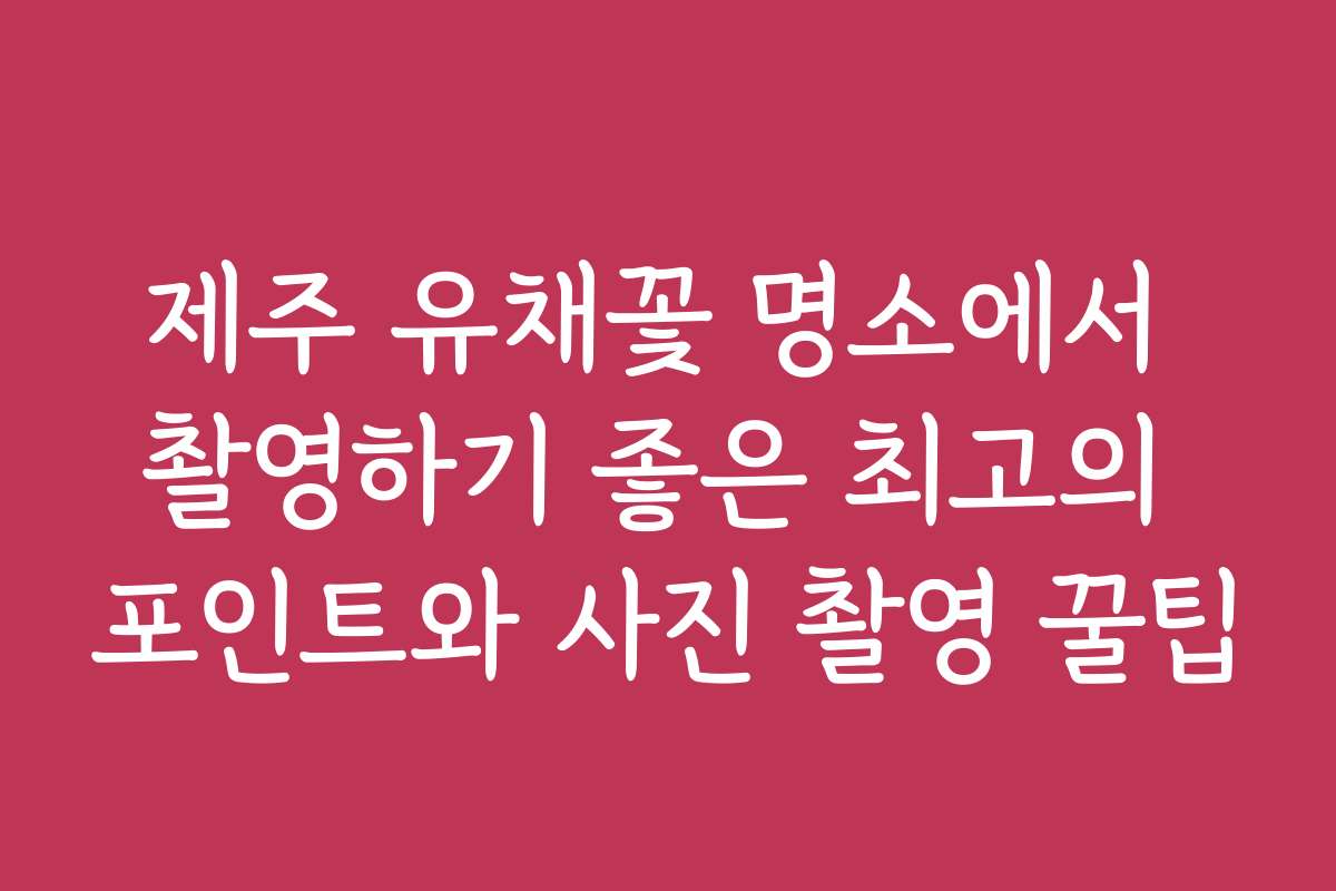 제주 유채꽃 명소에서 촬영하기 좋은 최고의 포인트와 사진 촬영 꿀팁