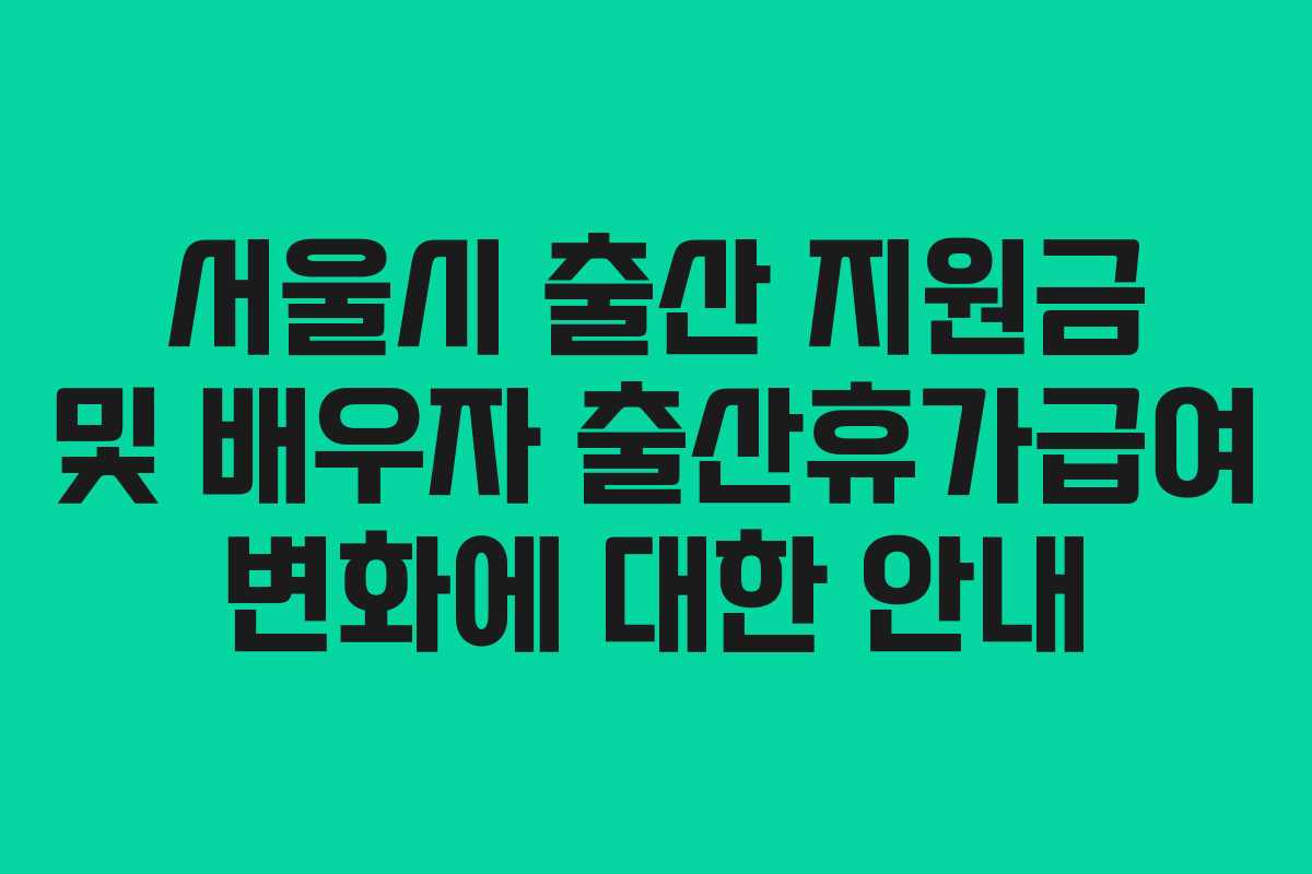 서울시 출산 지원금 및 배우자 출산휴가급여 변화에 대한 안내