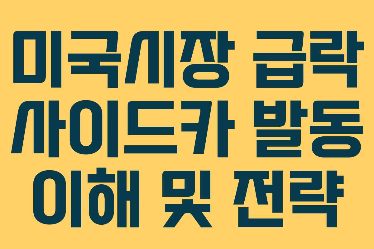 미국시장 급락 사이드카 발동 이해 및 전략