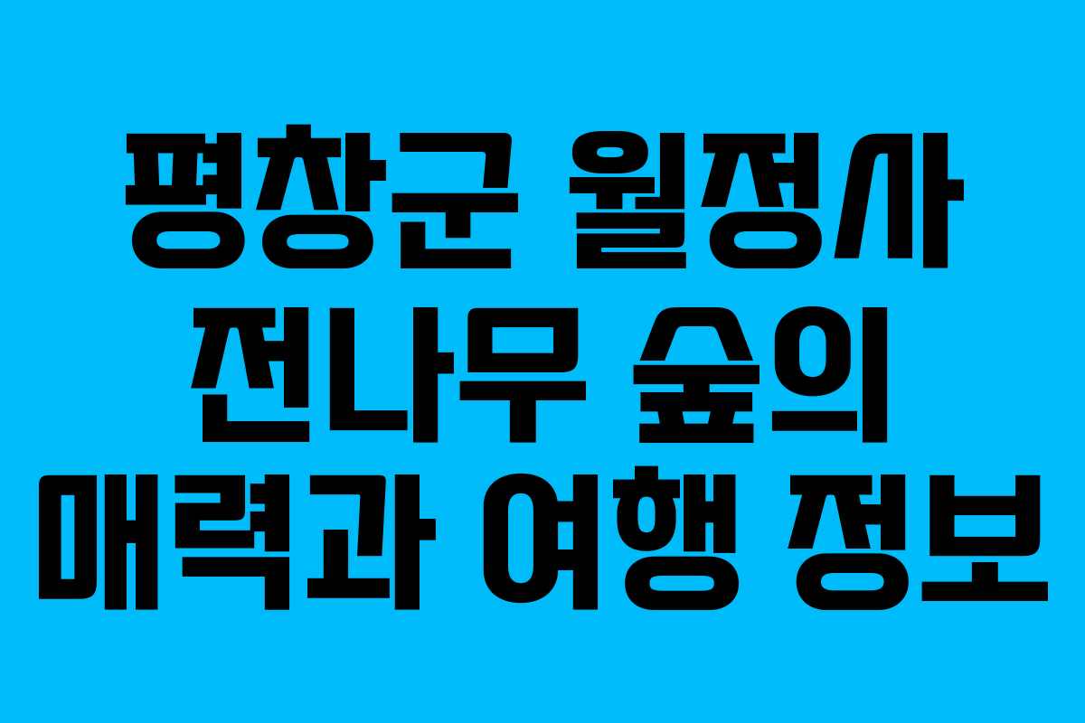 평창군 월정사 전나무 숲의 매력과 여행 정보