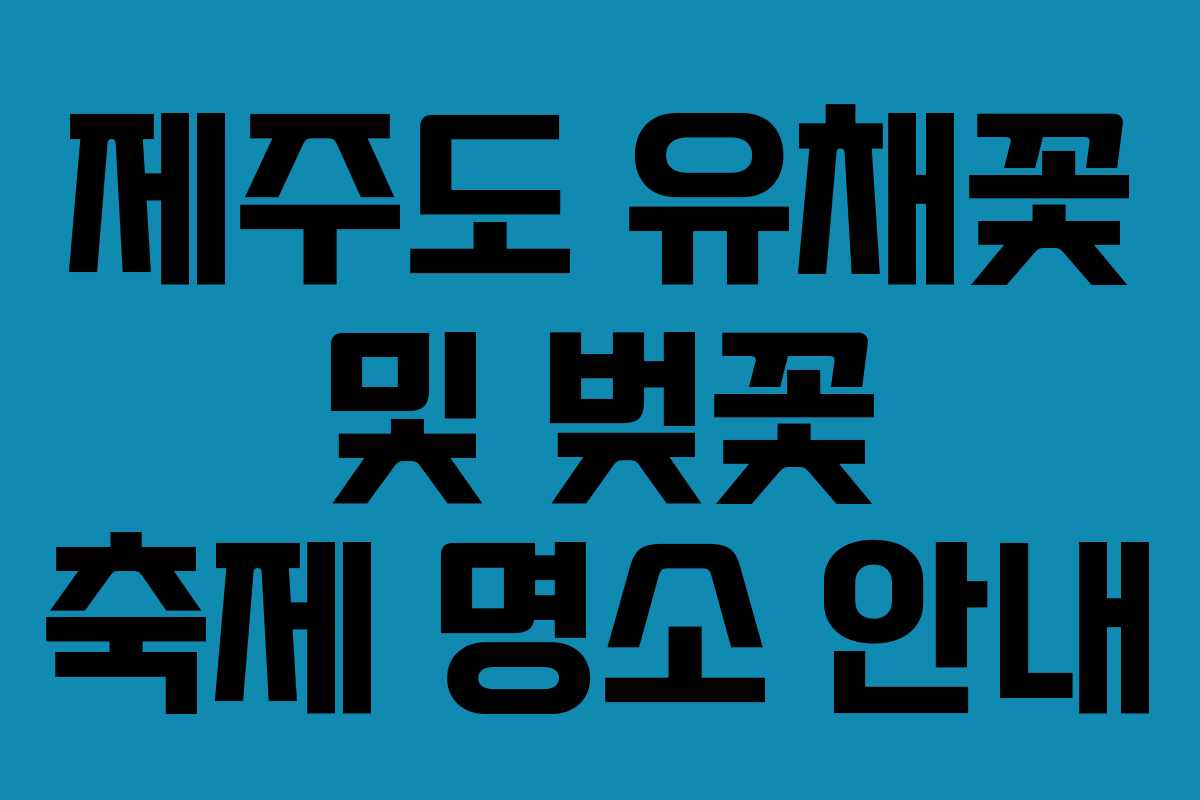 제주도 유채꽃 및 벚꽃 축제 명소 안내