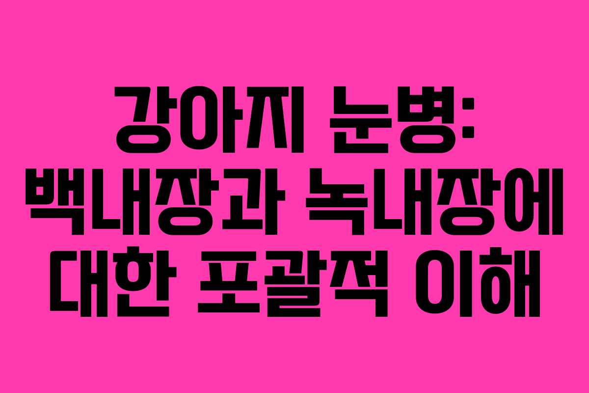 강아지 눈병: 백내장과 녹내장에 대한 포괄적 이해