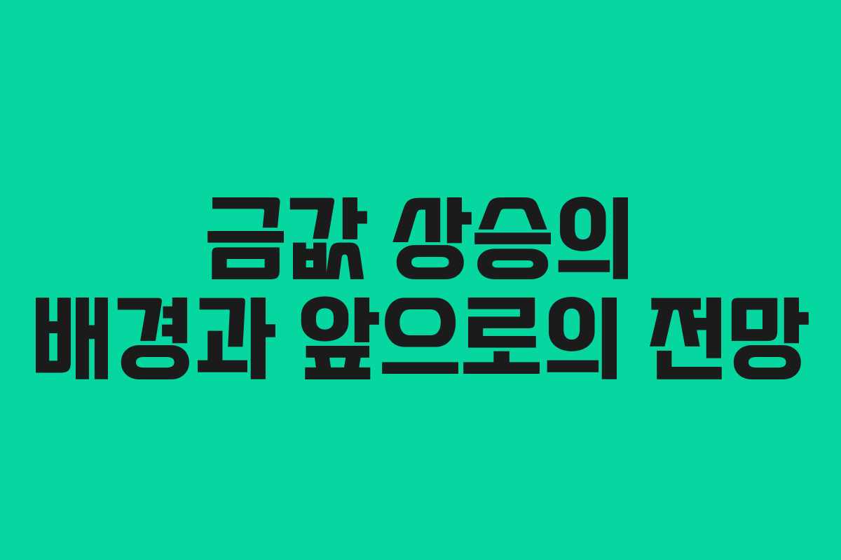 금값 상승의 배경과 앞으로의 전망