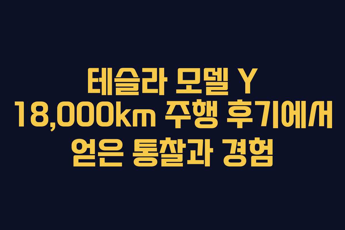 테슬라 모델 Y 18,000km 주행 후기에서 얻은 통찰과 경험