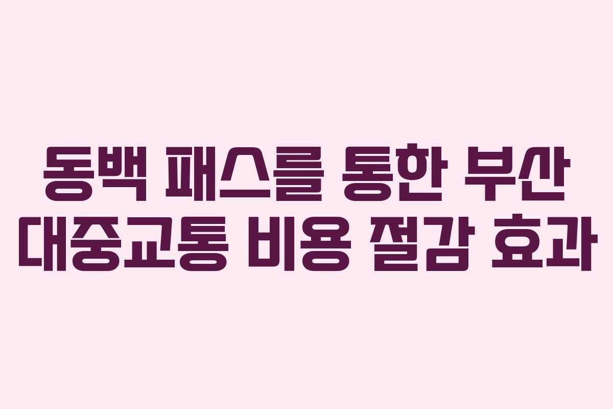 동백 패스를 통한 부산 대중교통 비용 절감 효과
