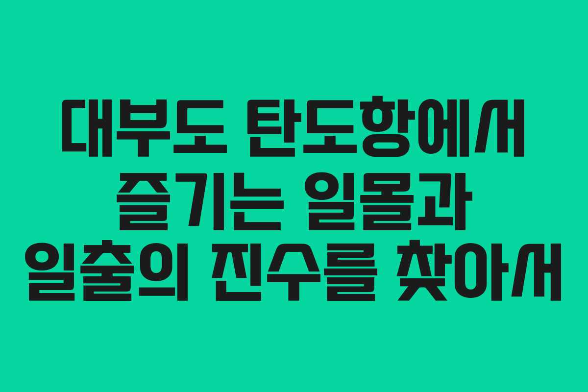 대부도 탄도항에서 즐기는 일몰과 일출의 진수를 찾아서