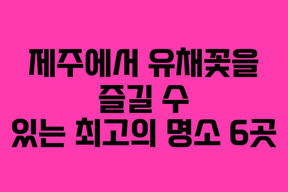 제주에서 유채꽃을 즐길 수 있는 최고의 명소 6곳