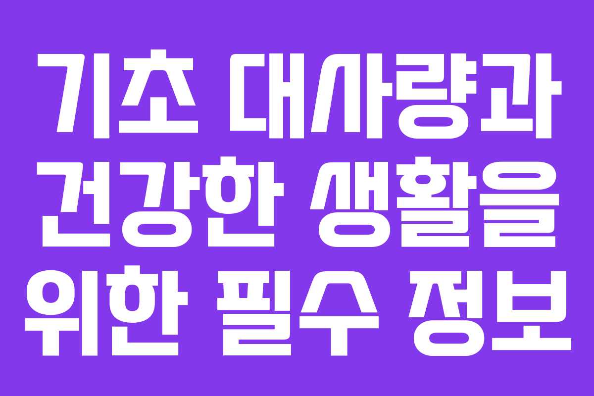 기초 대사량과 건강한 생활을 위한 필수 정보