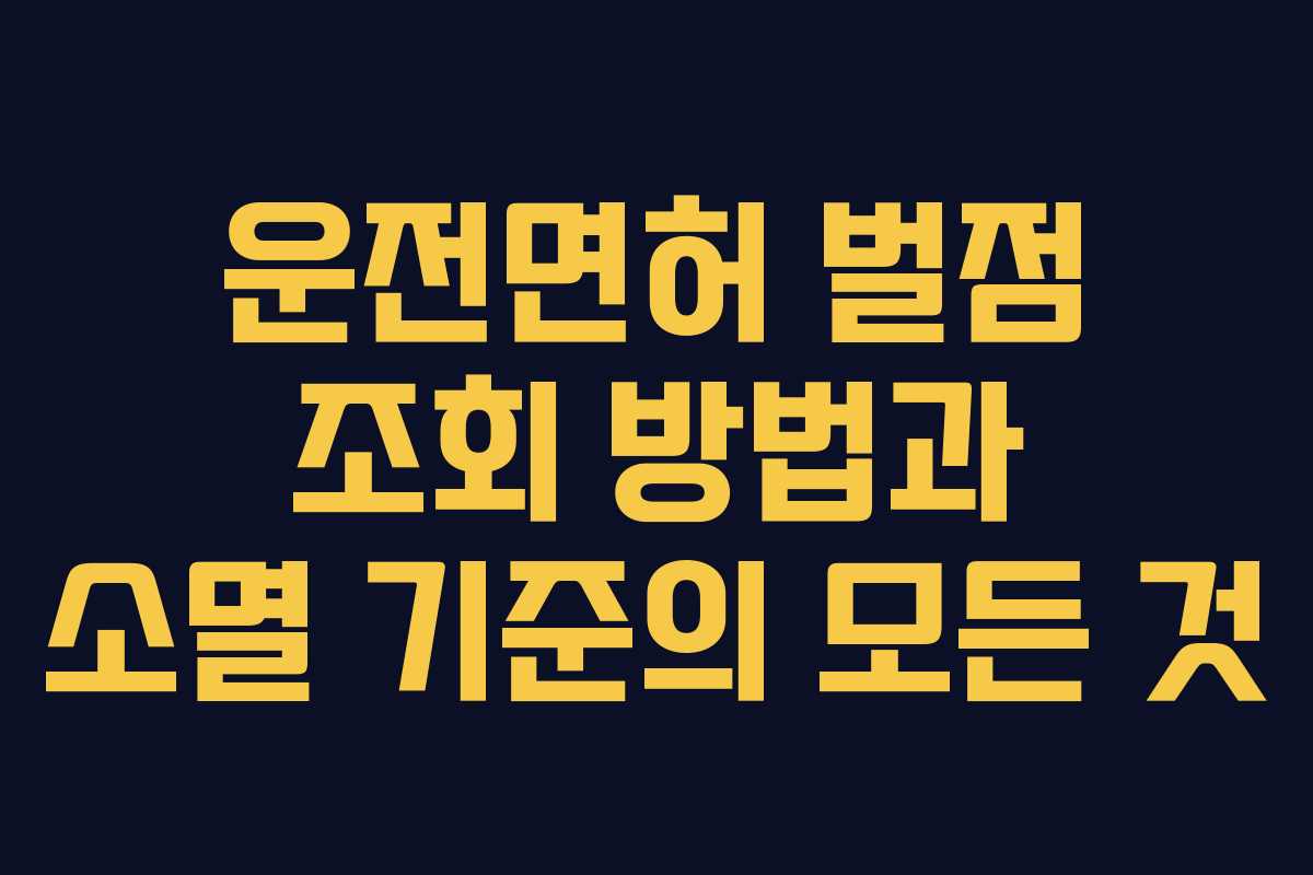 운전면허 벌점 조회 방법과 소멸 기준의 모든 것