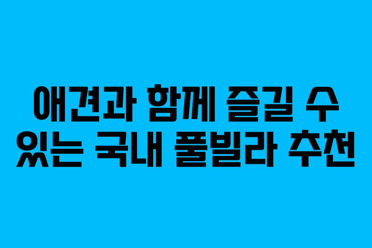 애견과 함께 즐길 수 있는 국내 풀빌라 추천