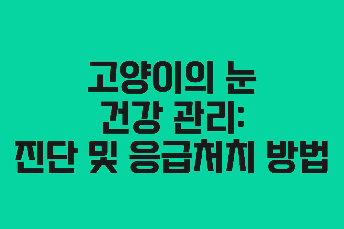 고양이의 눈 건강 관리: 진단 및 응급처치 방법