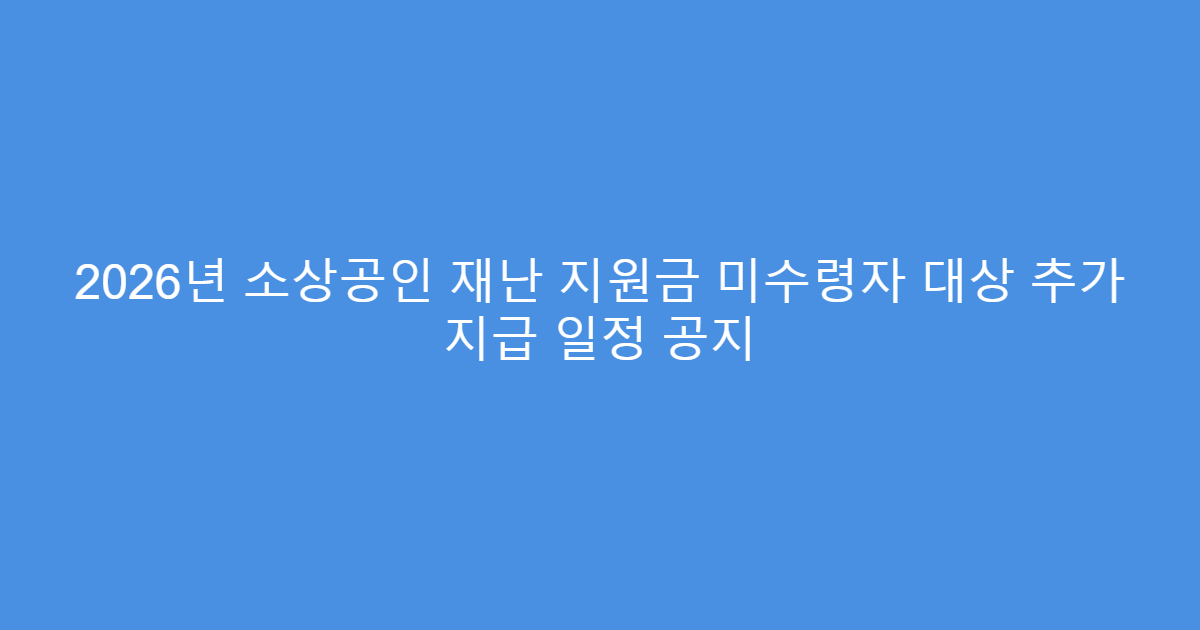 2026년 소상공인 재난 지원금 미수령자 대상 추가 지급 일정 공지