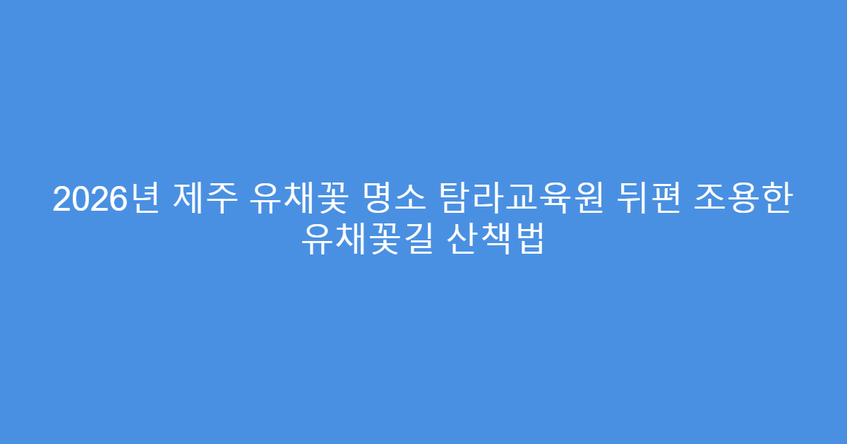 2026년 제주 유채꽃 명소 탐라교육원 뒤편 조용한 유채꽃길 산책법