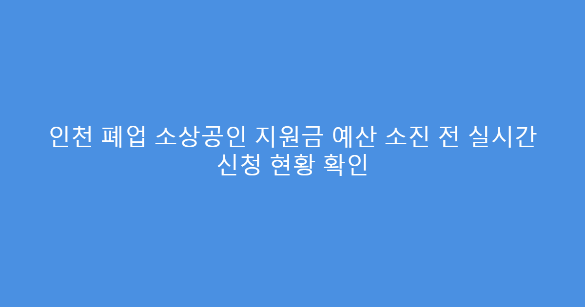 인천 폐업 소상공인 지원금 예산 소진 전 실시간 신청 현황 확인