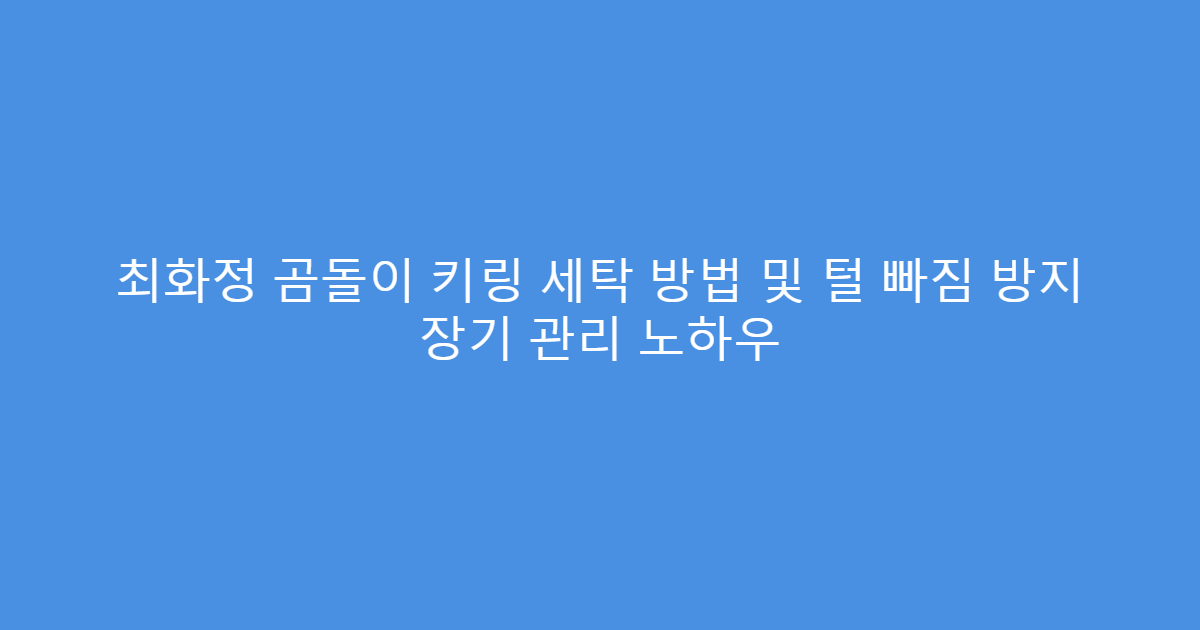 최화정 곰돌이 키링 세탁 방법 및 털 빠짐 방지 장기 관리 노하우