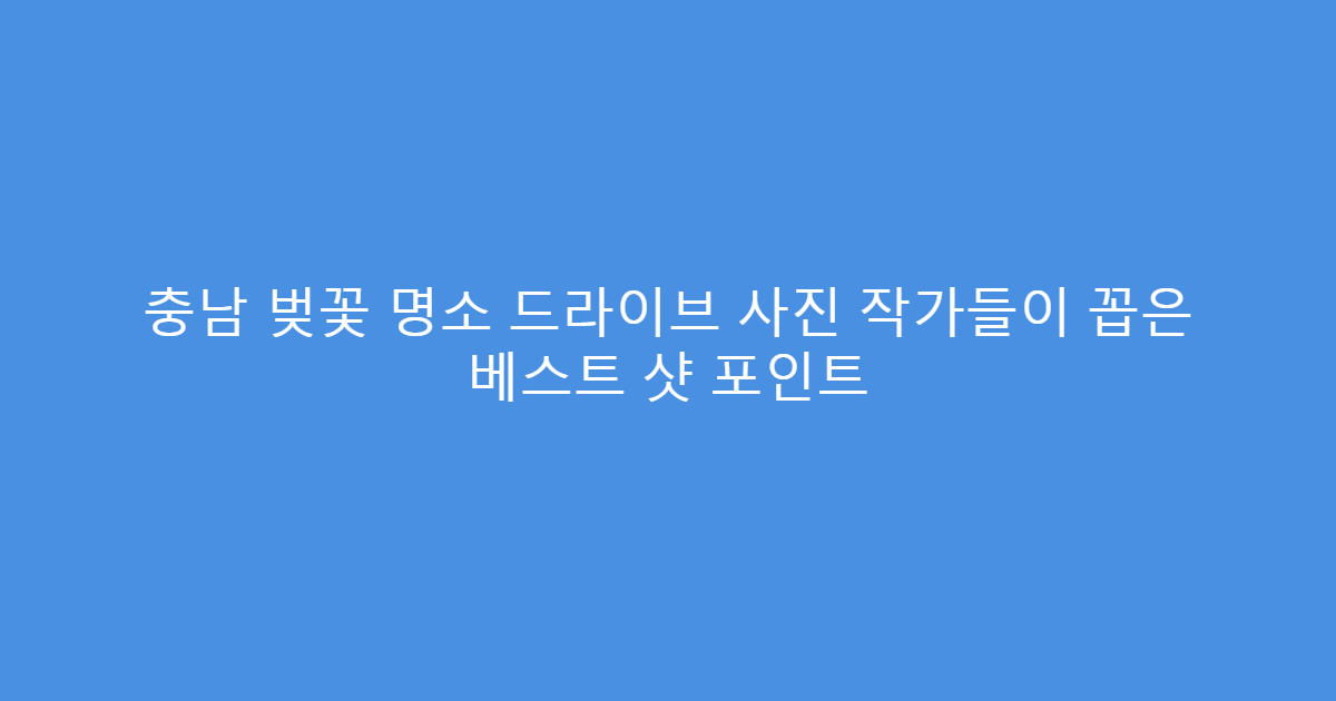충남 벚꽃 명소 드라이브 사진 작가들이 꼽은 베스트 샷 포인트