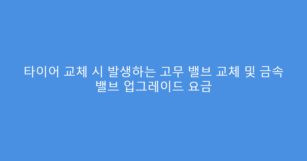 타이어 교체 시 발생하는 고무 밸브 교체 및 금속 밸브 업그레이드 요금