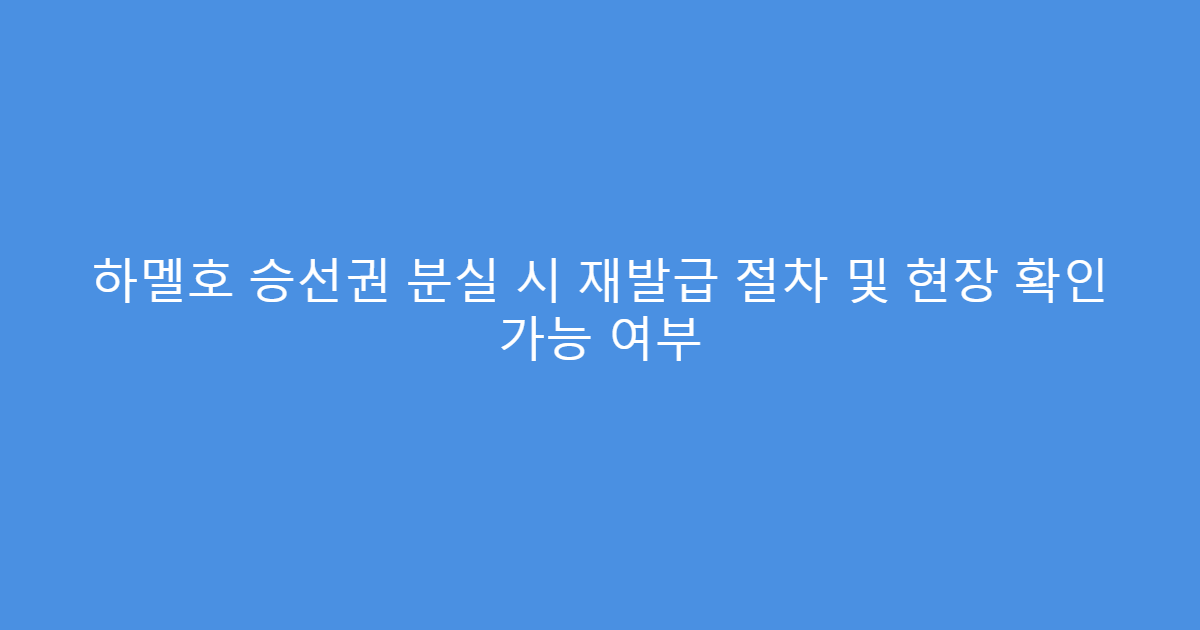 하멜호 승선권 분실 시 재발급 절차 및 현장 확인 가능 여부