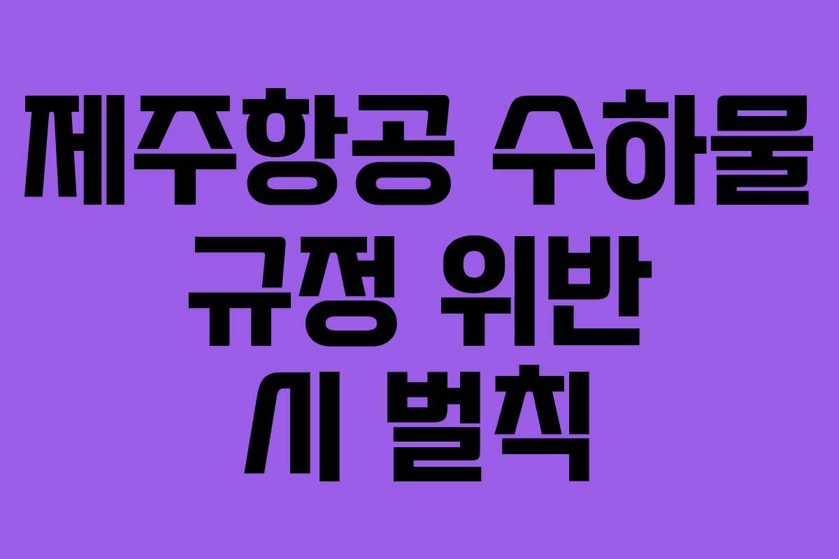 제주항공 수하물 규정 위반 시 벌칙