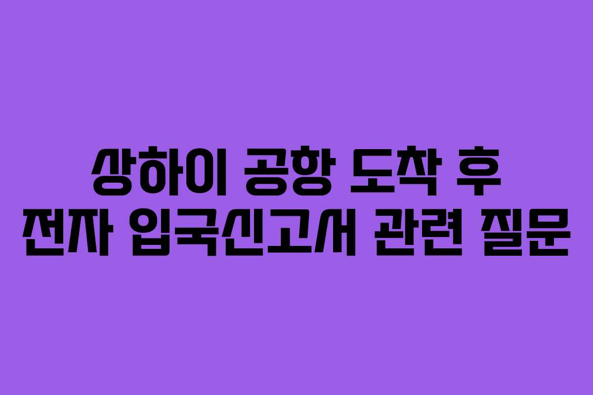 상하이 공항 도착 후 전자 입국신고서 관련 질문