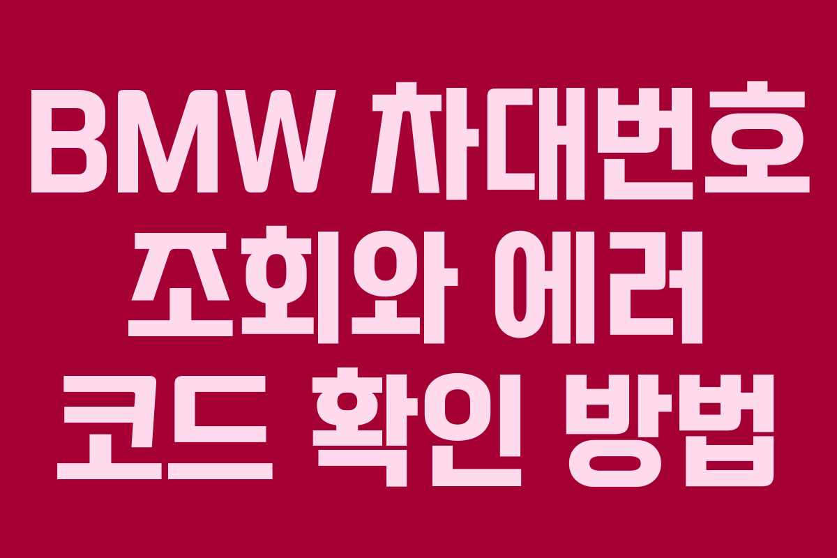 BMW 차대번호 조회와 에러 코드 확인 방법