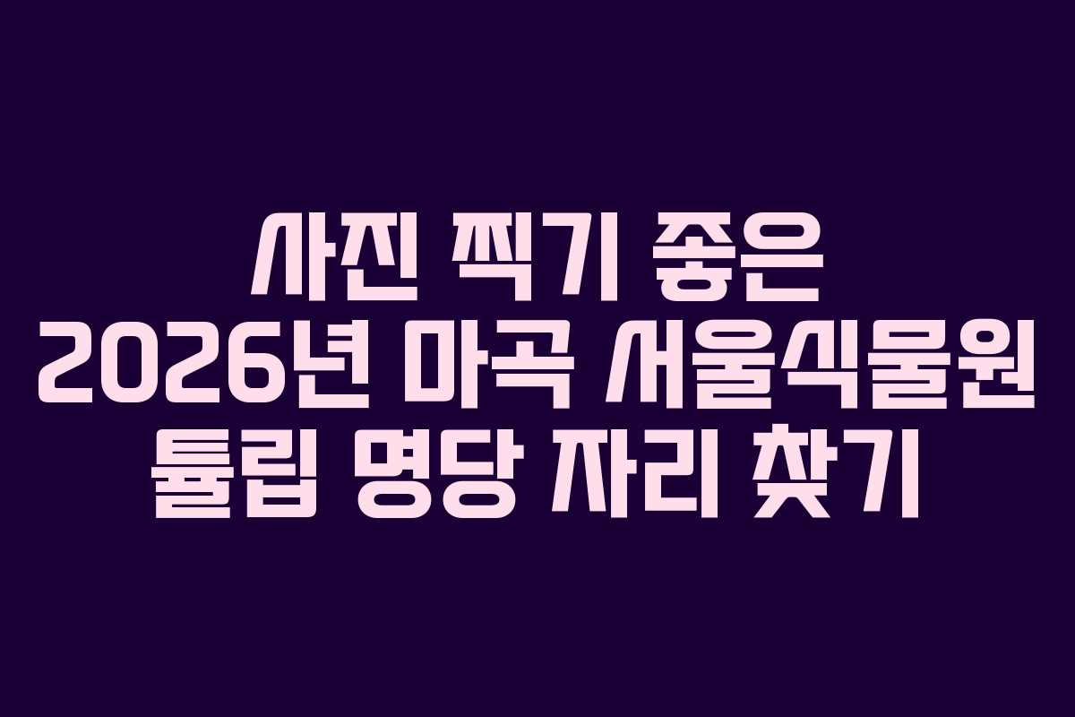 사진 찍기 좋은 2026년 마곡 서울식물원 튤립 명당 자리 찾기